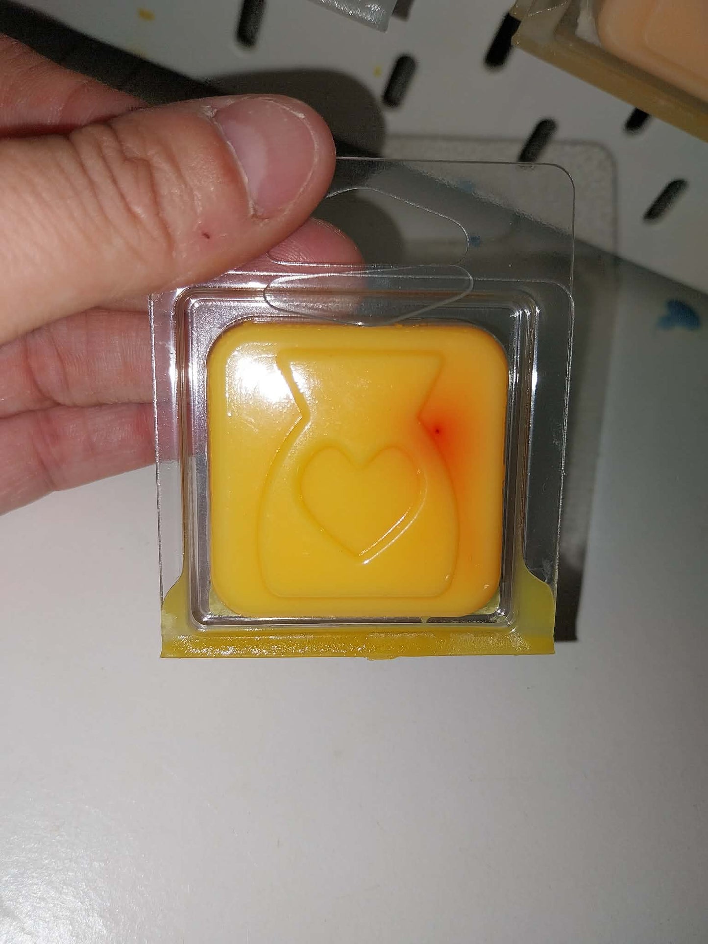 mini wax clam bundle