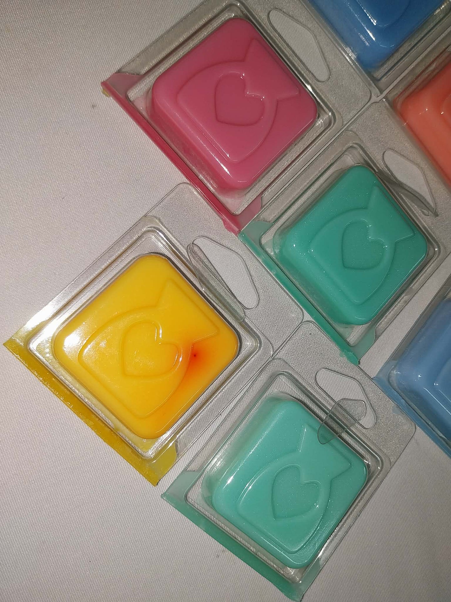 mini wax clam bundle