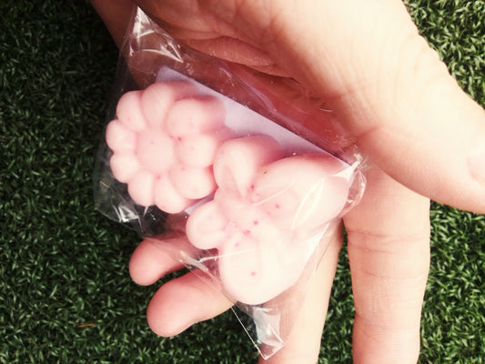 large bugs and flower wax melts