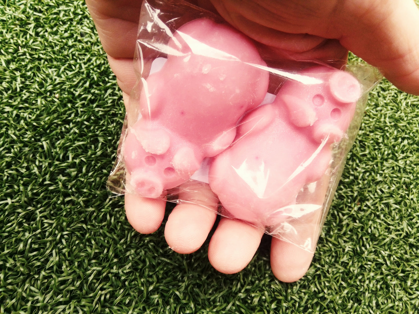 Wax melt piggies